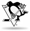 3D chrom znak na auto NHL Pittsburgh Penguins