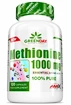 Amix Nutrition Methionine 1000 mg 120 kapslí