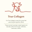 Ancient+Brave Cacao + Grass Fed Collagen 250 g