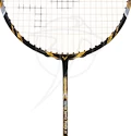Badmintonový set Victor Ripple Power 21 + taška + míče