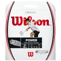 Badmintonový výplet Wilson Smash 66 10m