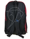 Batoh české fotbalové reprezentace PUMA PowerCat 5.12