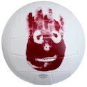 Beachvolejbalový míč Mr. Wilson Cast Away