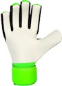 Brankářské rukavice adidas ACE Competition Green/Black