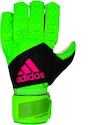 Brankářské rukavice adidas ACE Competition Green/Black