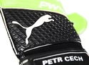 Brankářské rukavice Puma evoPOWER Grip 2.3 GC Green Petr Čech