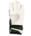 Brankářské rukavice Puma evoPOWER Grip 2.3 GC Green Petr Čech