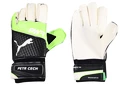 Brankářské rukavice Puma evoPOWER Grip 2.3 GC Green Petr Čech