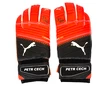 Brankářské rukavice Puma evoPOWER Grip 2.3 GC s originálním podpisem Petra Čecha