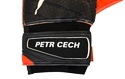 Brankářské rukavice Puma evoPOWER Grip 2.3 GC s originálním podpisem Petra Čecha