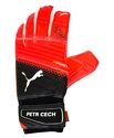 Brankářské rukavice Puma evoPOWER Grip 2.3 GC s originálním podpisem Petra Čecha