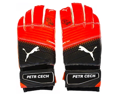 Brankářské rukavice Puma evoPOWER Grip 2.3 GC s originálním podpisem Petra Čecha