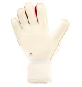 Brankářské rukavice Uhlsport Ergonomic Absolutgrip