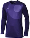 Brankářský dres Nike Park IV
