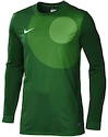 Brankářský dres Nike Park IV