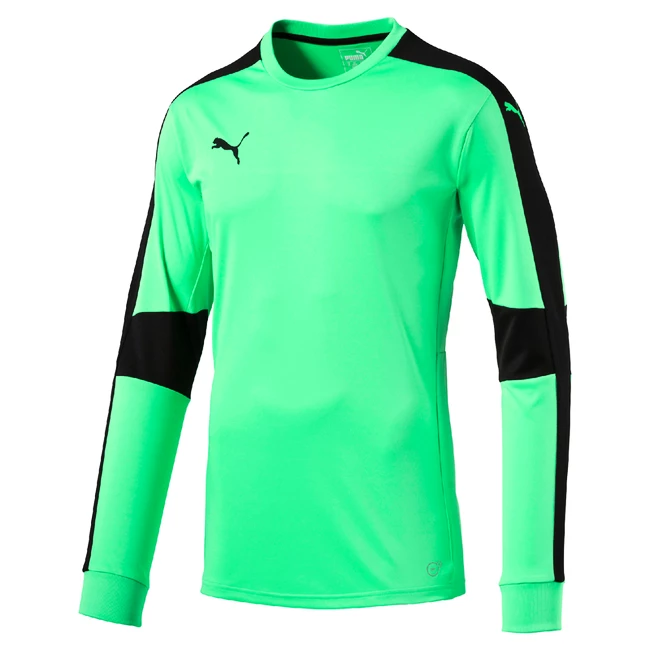 Brankářský dres Puma Triumphant