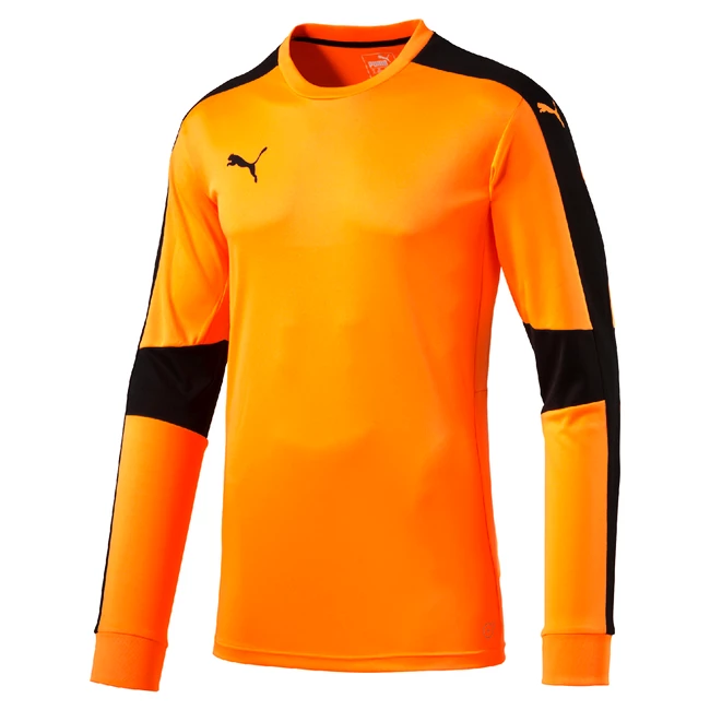 Brankářský dres Puma Triumphant