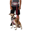 Canicross pás Nathan K9 Series Runner's Waistpack With Leash