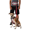 Canicross pás Nathan K9 Series Runner's Waistpack With Leash