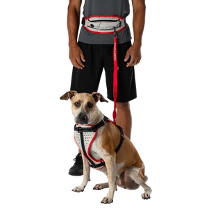 Canicross pás Nathan K9 Series Runner's Waistpack With Leash