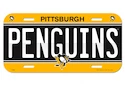 Cedule NHL Pittsburgh Penguins