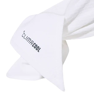 Čelenka adidas  Tennis Tieband White/Green