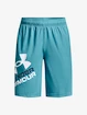 Chlapecké šortky Under Armour  Prototype 2.0 Logo Shorts-BLU