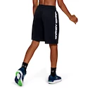 Chlapecké Šortky Under Armour Prototype Wordmark Shorts černé