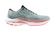 Dámská běžecká obuv Mizuno  Wave Inspire 20 Gray Mist/White/Dubarry