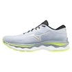 Dámská běžecká obuv Mizuno  Wave Sky 5 Heather/White