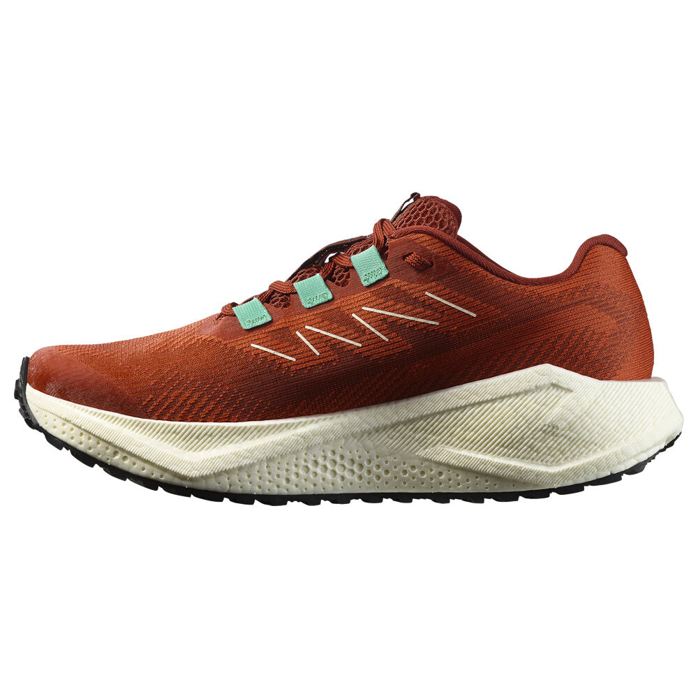 Dámská běžecká obuv Salomon Aero Blaze 3 GRVL Burnt Ochre/Vanilla Ice/Vanilla Ice   UK 6 - thumb (4)