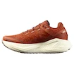 Dámská běžecká obuv Salomon Aero Glide 3 GRVL Burnt Ochre/Vanilla Ice/Etherea