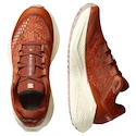 Dámská běžecká obuv Salomon Aero Glide 3 GRVL Burnt Ochre/Vanilla Ice/Etherea