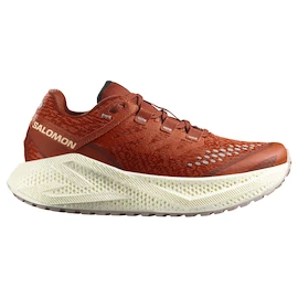 Dámská běžecká obuv Salomon Aero Glide 3 GRVL Burnt Ochre/Vanilla Ice/Etherea