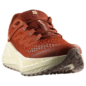 Dámská běžecká obuv Salomon Aero Glide 3 GRVL Burnt Ochre/Vanilla Ice/Etherea