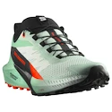 Dámská běžecká obuv Salomon Sense Ride 5 Bay/Black/Cherry Tomato