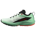 Dámská běžecká obuv Salomon Sense Ride 5 Bay/Black/Cherry Tomato