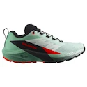 Dámská běžecká obuv Salomon Sense Ride 5 Bay/Black/Cherry Tomato