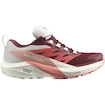 Dámská běžecká obuv Salomon Sense Ride 5 GTX W Syrah/Vanila/Pea  UK 5