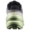 Dámská běžecká obuv Salomon Speedcross 6 Castlerock/Vanilla Ice/Smoke Green