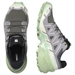 Dámská běžecká obuv Salomon Speedcross 6 Castlerock/Vanilla Ice/Smoke Green