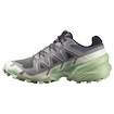 Dámská běžecká obuv Salomon Speedcross 6 Castlerock/Vanilla Ice/Smoke Green