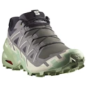Dámská běžecká obuv Salomon Speedcross 6 Castlerock/Vanilla Ice/Smoke Green