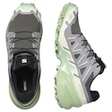 Dámská běžecká obuv Salomon Speedcross 6 Castlerock/Vanilla Ice/Smoke Green