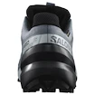 Dámská běžecká obuv Salomon Speedcross 6 Gore-Tex Flint Stone/Black/Heather