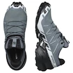 Dámská běžecká obuv Salomon Speedcross 6 Gore-Tex Flint Stone/Black/Heather