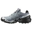 Dámská běžecká obuv Salomon Speedcross 6 Gore-Tex Flint Stone/Black/Heather