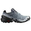 Dámská běžecká obuv Salomon Speedcross 6 Gore-Tex Flint Stone/Black/Heather