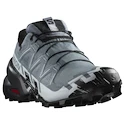 Dámská běžecká obuv Salomon Speedcross 6 Gore-Tex Flint Stone/Black/Heather