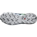 Dámská běžecká obuv Salomon Speedcross 6 Gtx Carbon / Provence / White